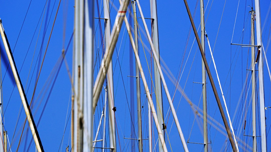 Sailboat masts and standing rigging at a marina